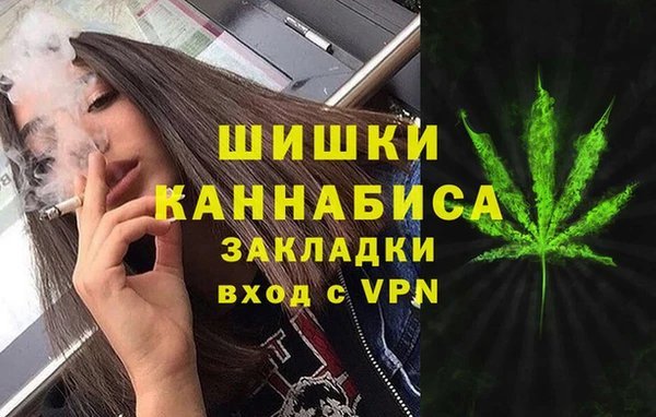 прущие грибы Верея