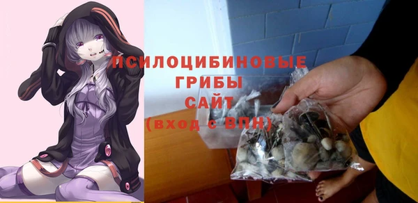 spice Волоколамск