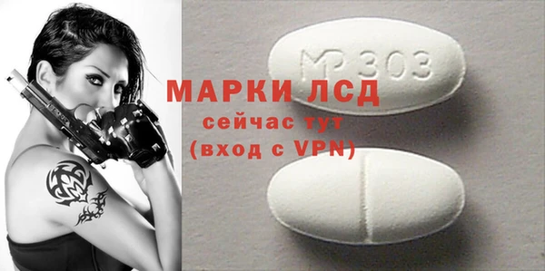 прущие грибы Верея
