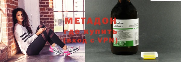 прущие грибы Верея