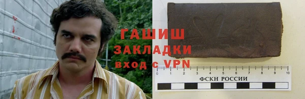 прущие грибы Верея