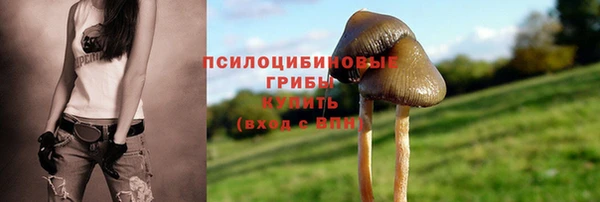 бутират Волосово