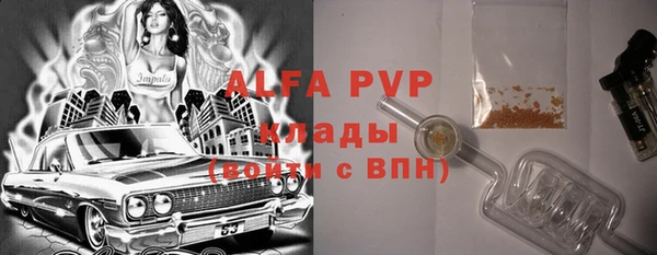 прущие грибы Верея